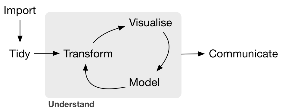 Data Science Workflow